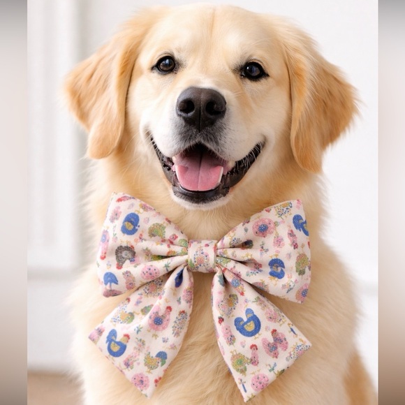 Griffy & Drake Other - Fancy Flock 🐓Griffy & Drake Pet Bow 🐾